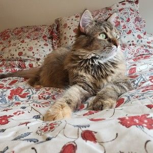 Meet your Posher, Chelsea